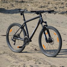Seagull replaced by a bike