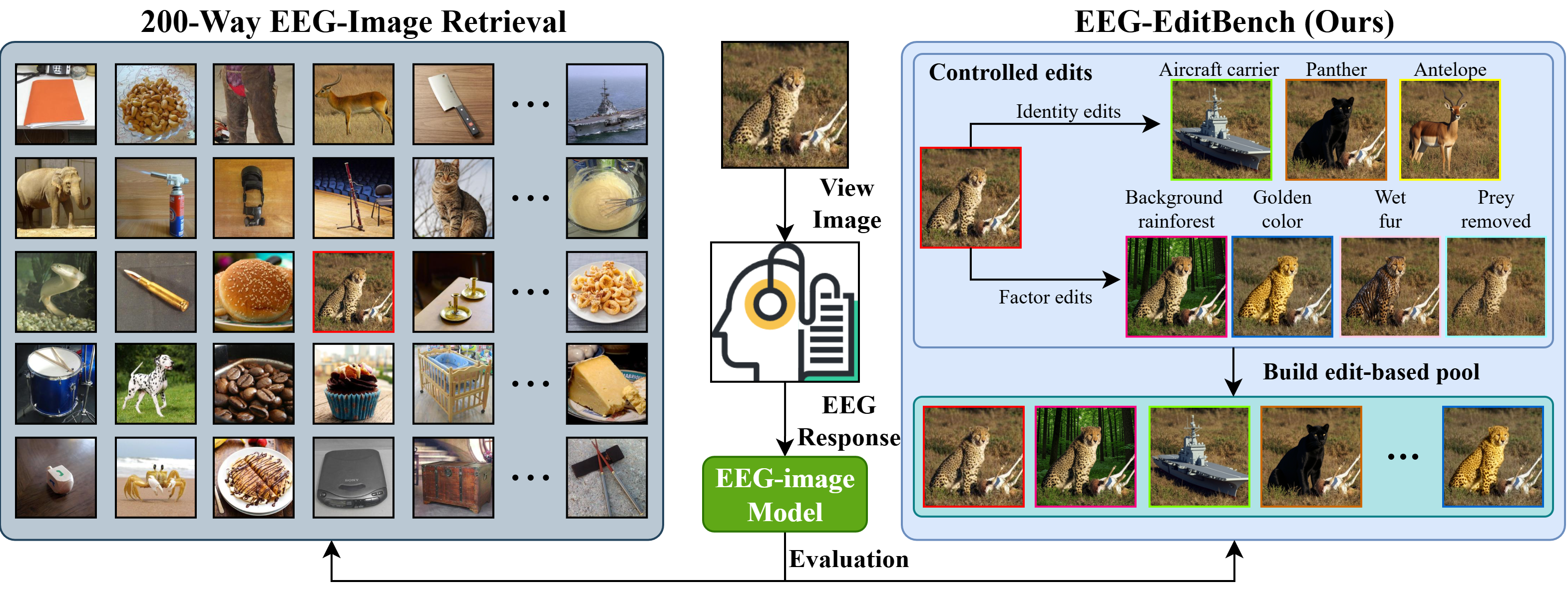 Overview of EEG-EditBench